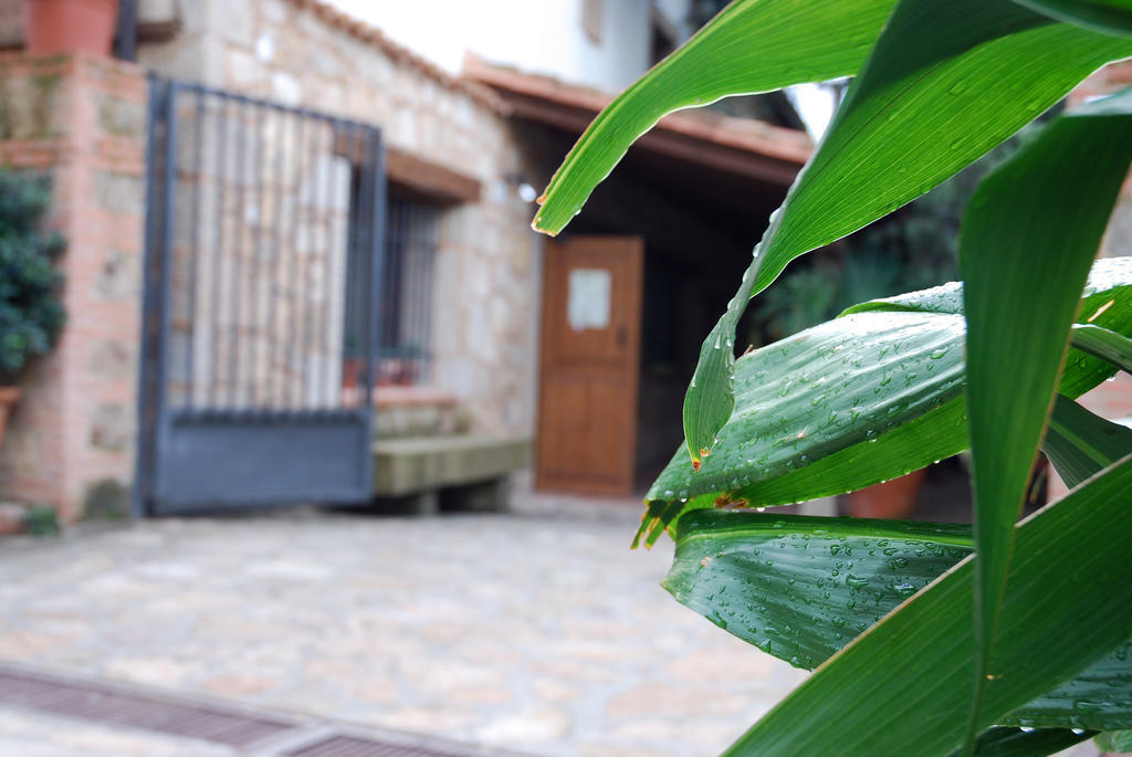 Hostal El Cardenillo Madrigal de la Vera Buitenkant foto